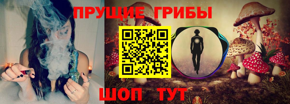 Галлюциногенные грибы прущие грибы  Псилоцибиновые грибы ЛСД  Котовск  Вход с VPN 